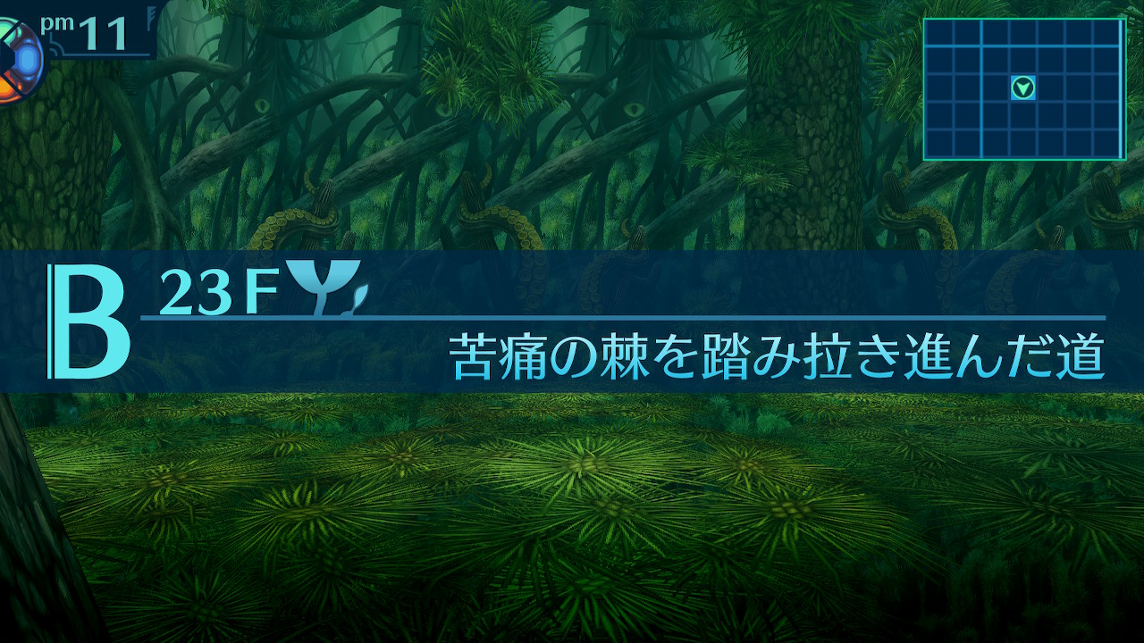 アモロ