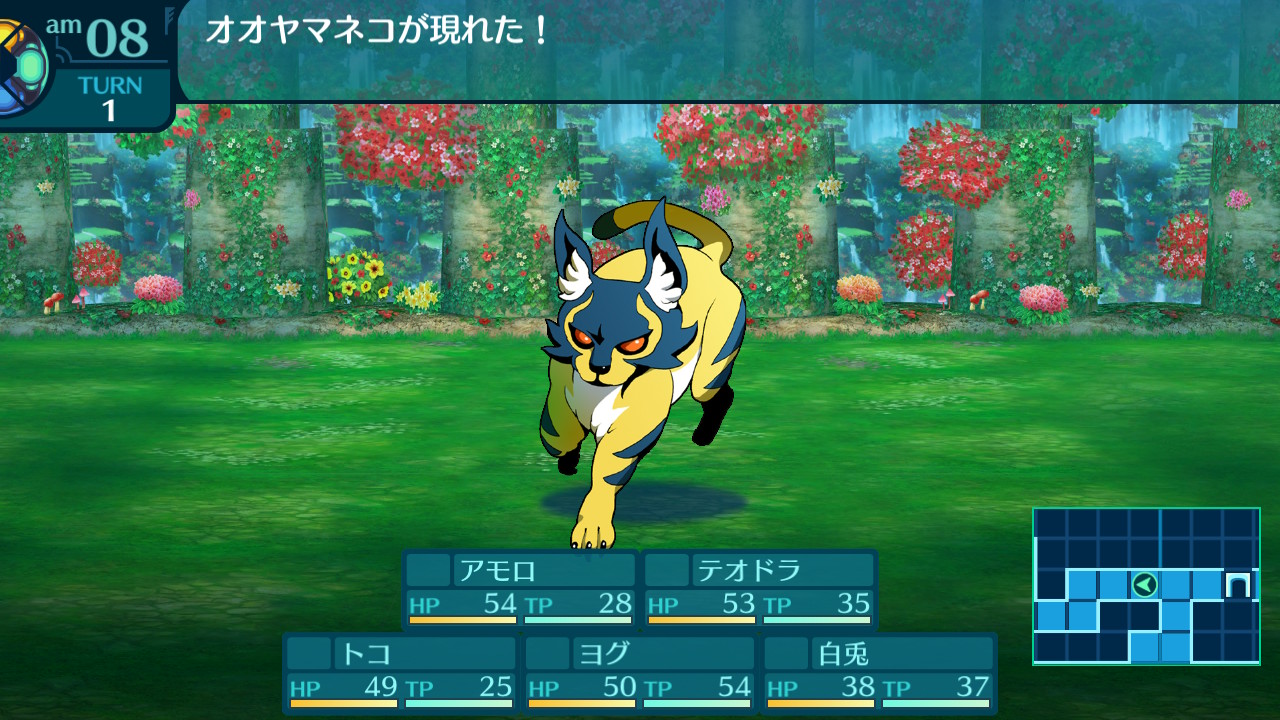 アモロ