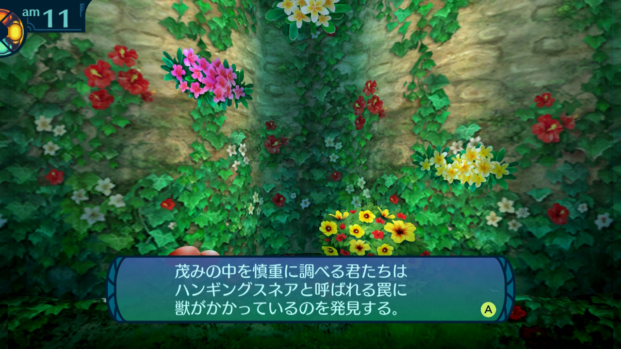 アモロ