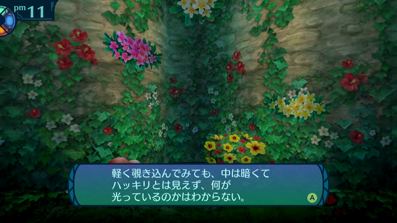 アモロ