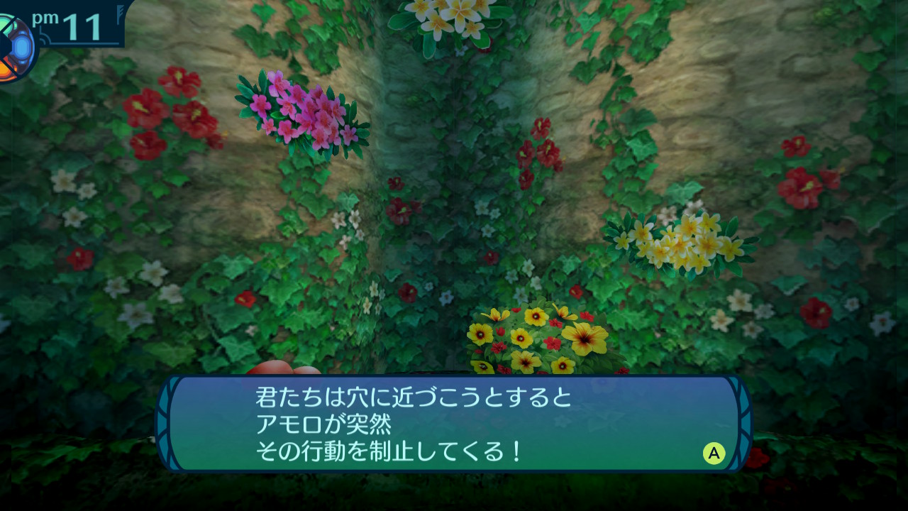 アモロ