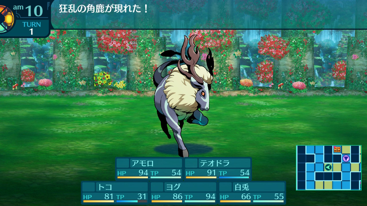アモロ