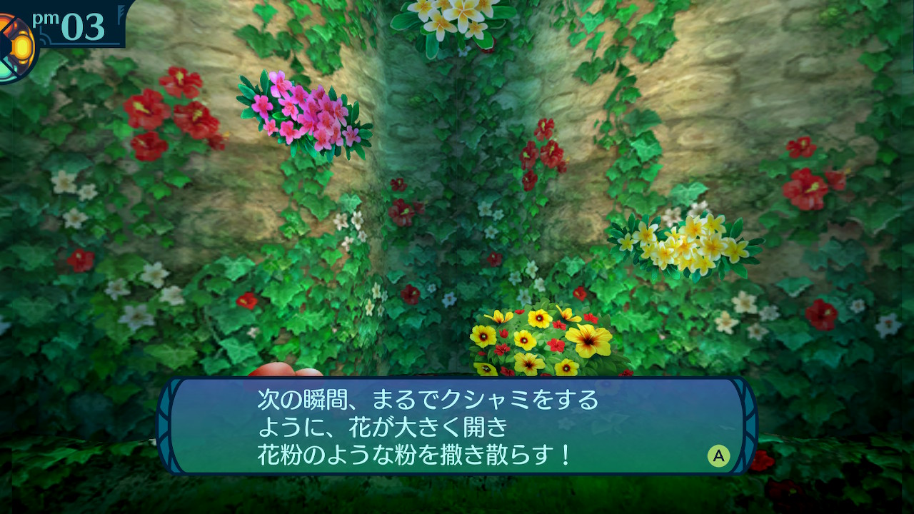 アモロ