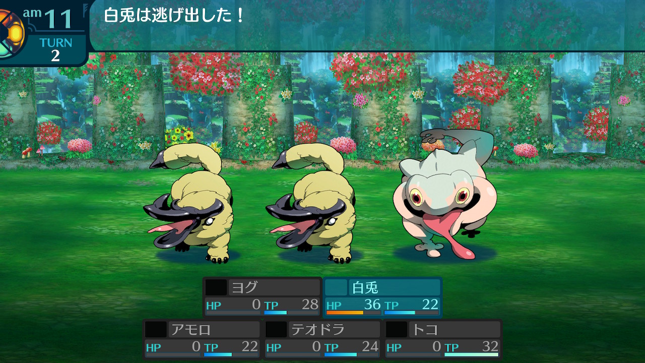 アモロ