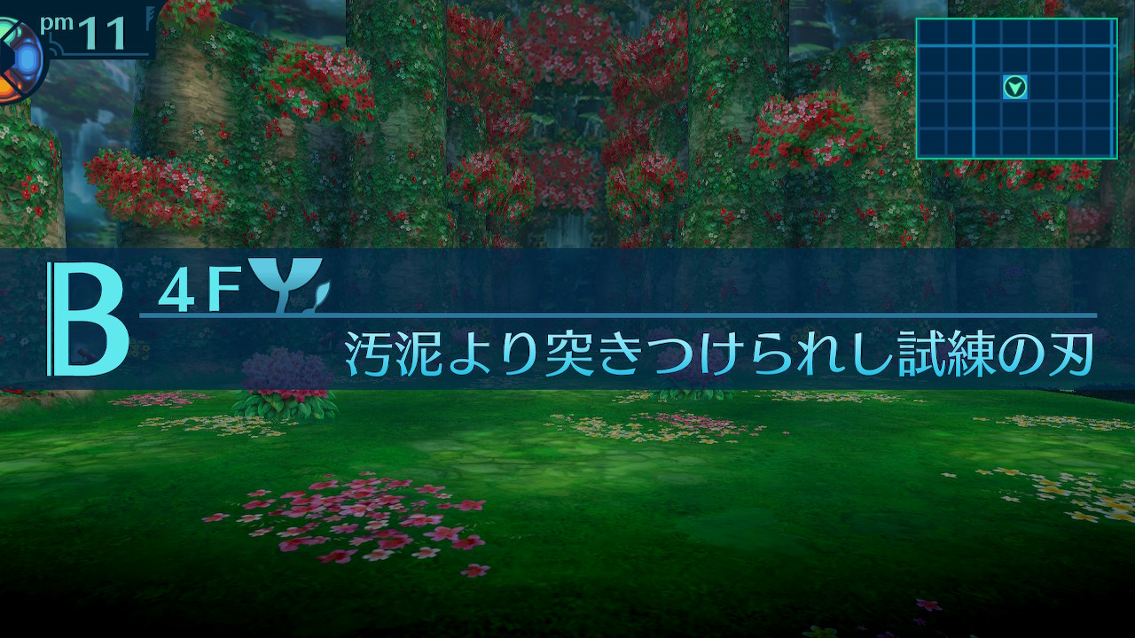アモロ