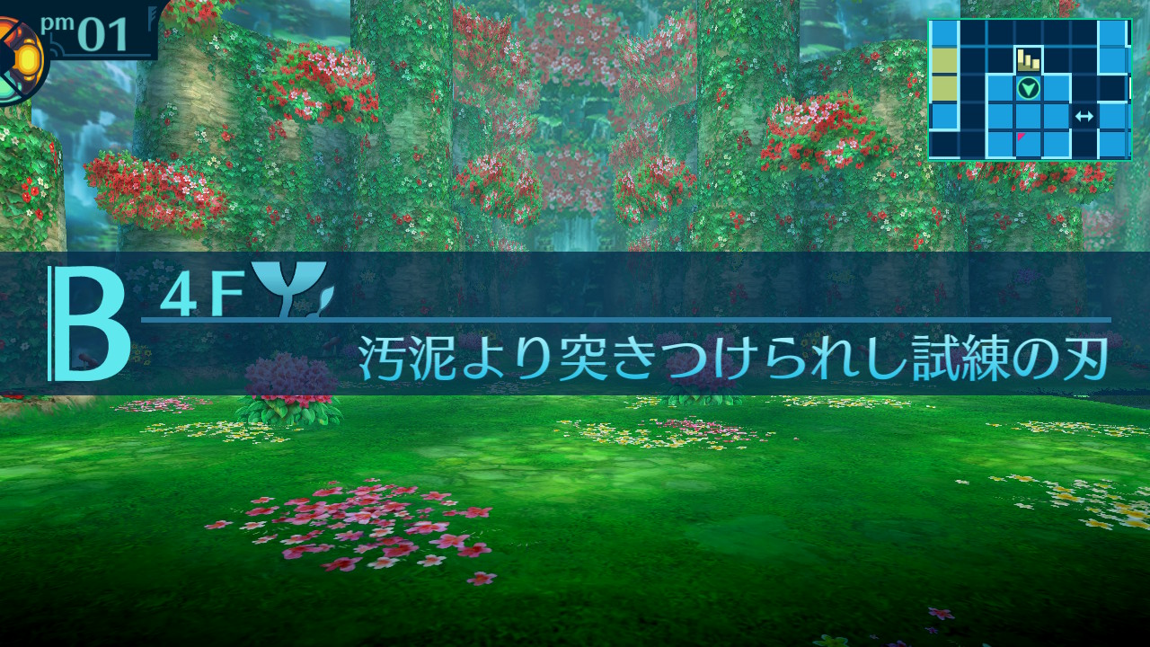 アモロ