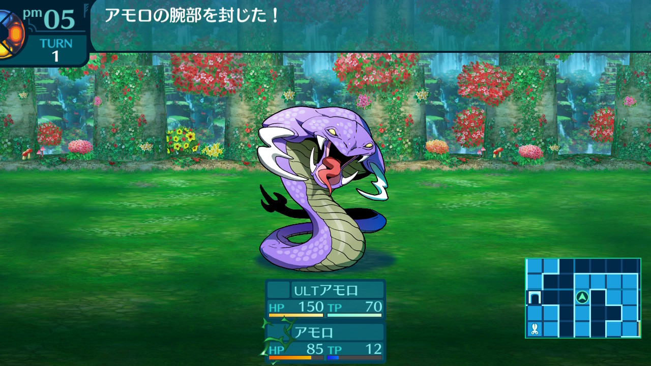 アモロ