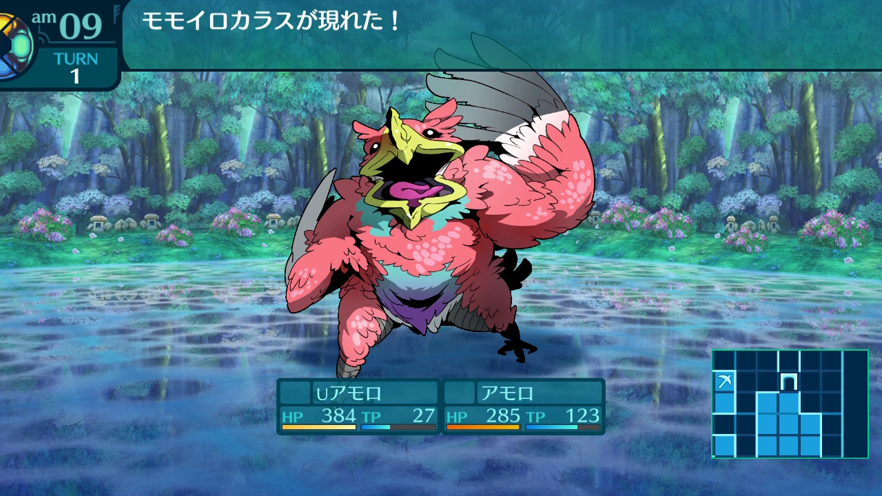 アモロ