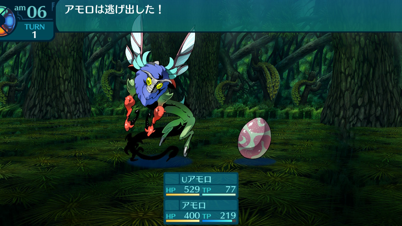 アモロ