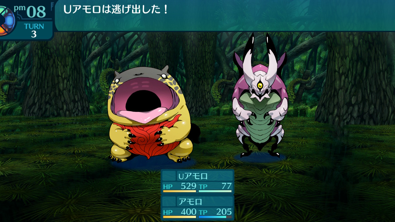 アモロ