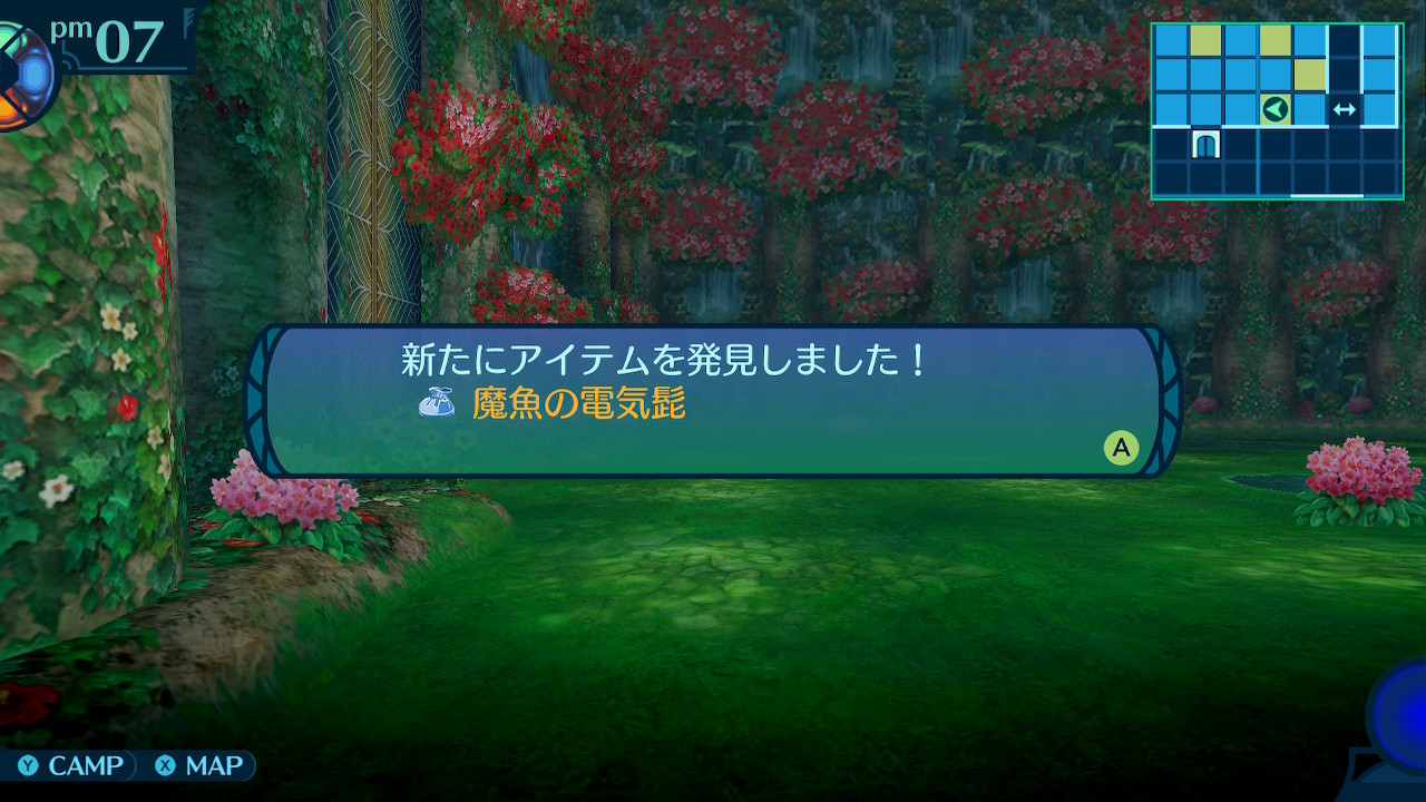 アモロ