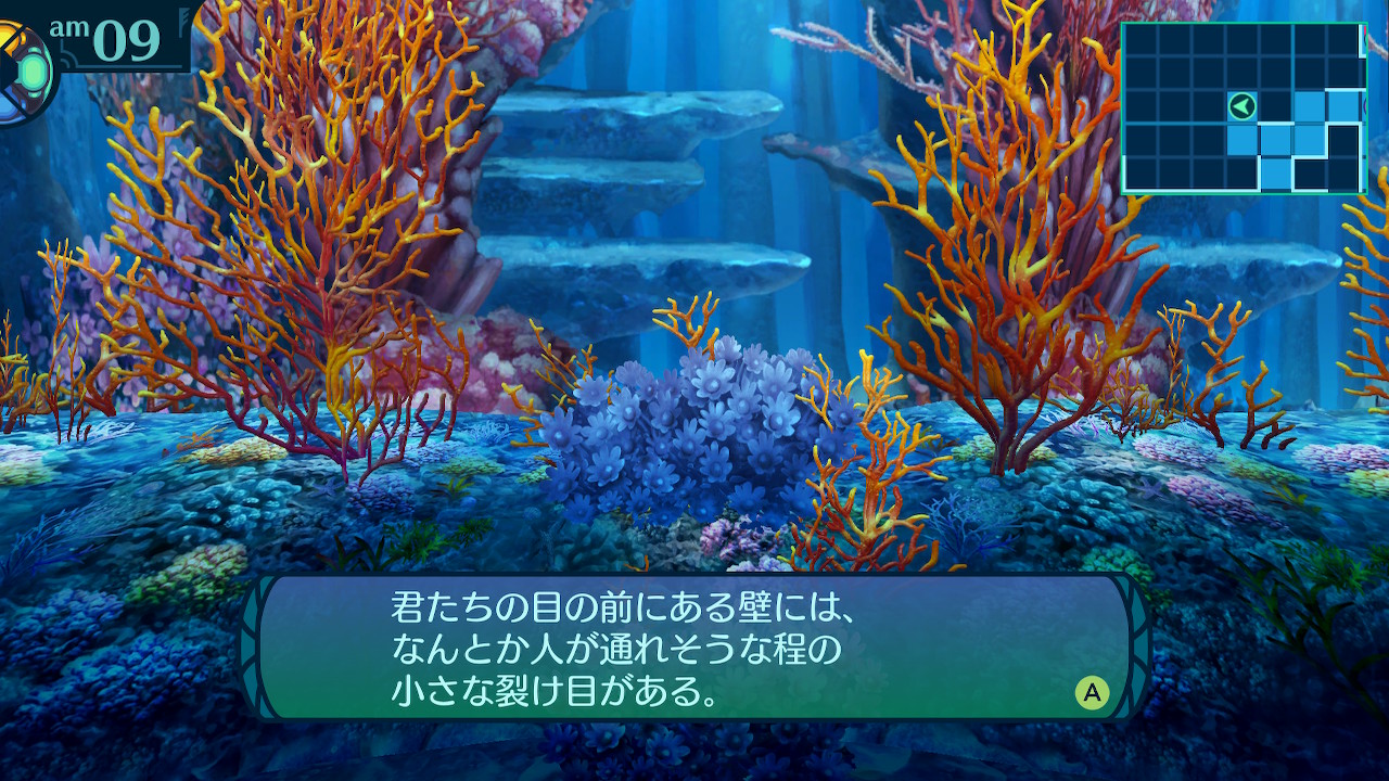 アモロ