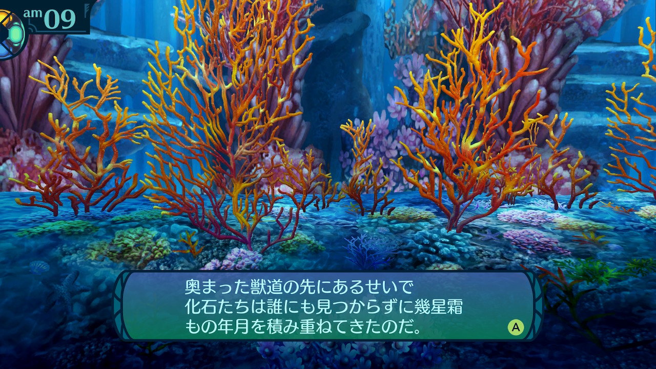 アモロ