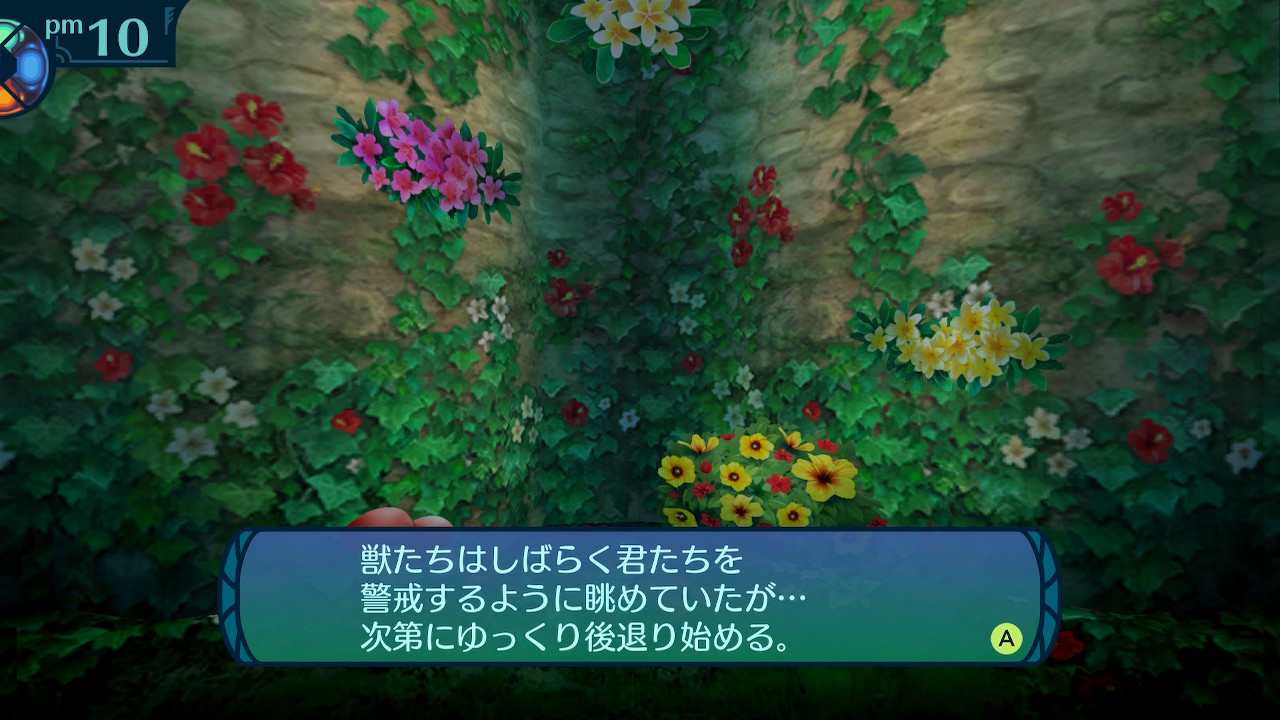 アモロ