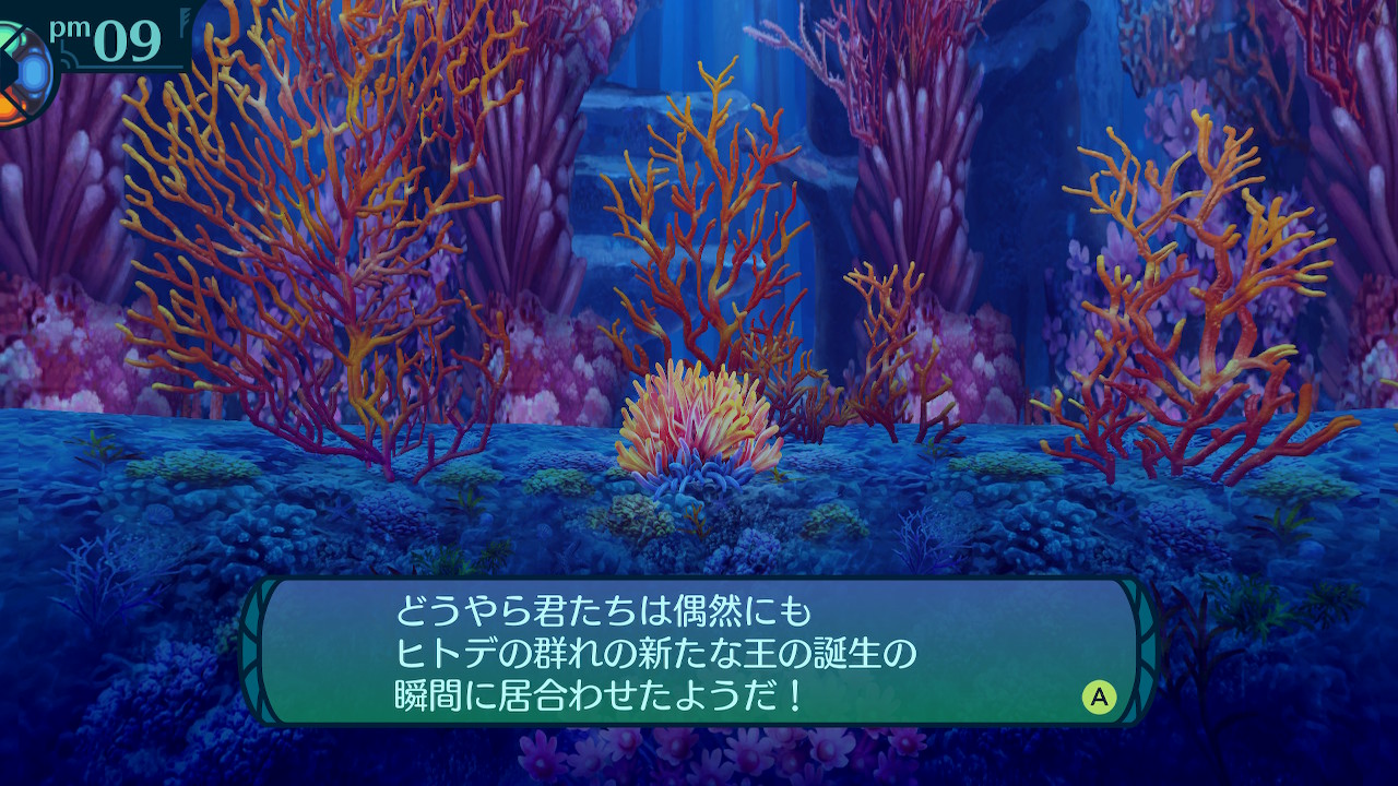 アモロ